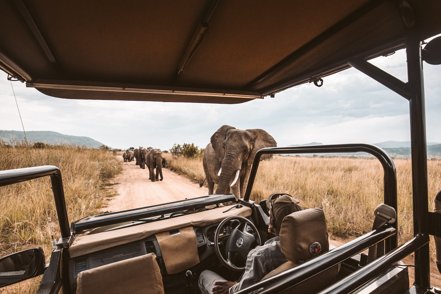 Luxury Safari in the Serengeti
